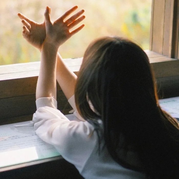 暴太郎战队DONBROTHERS剧场版新·初恋英雄