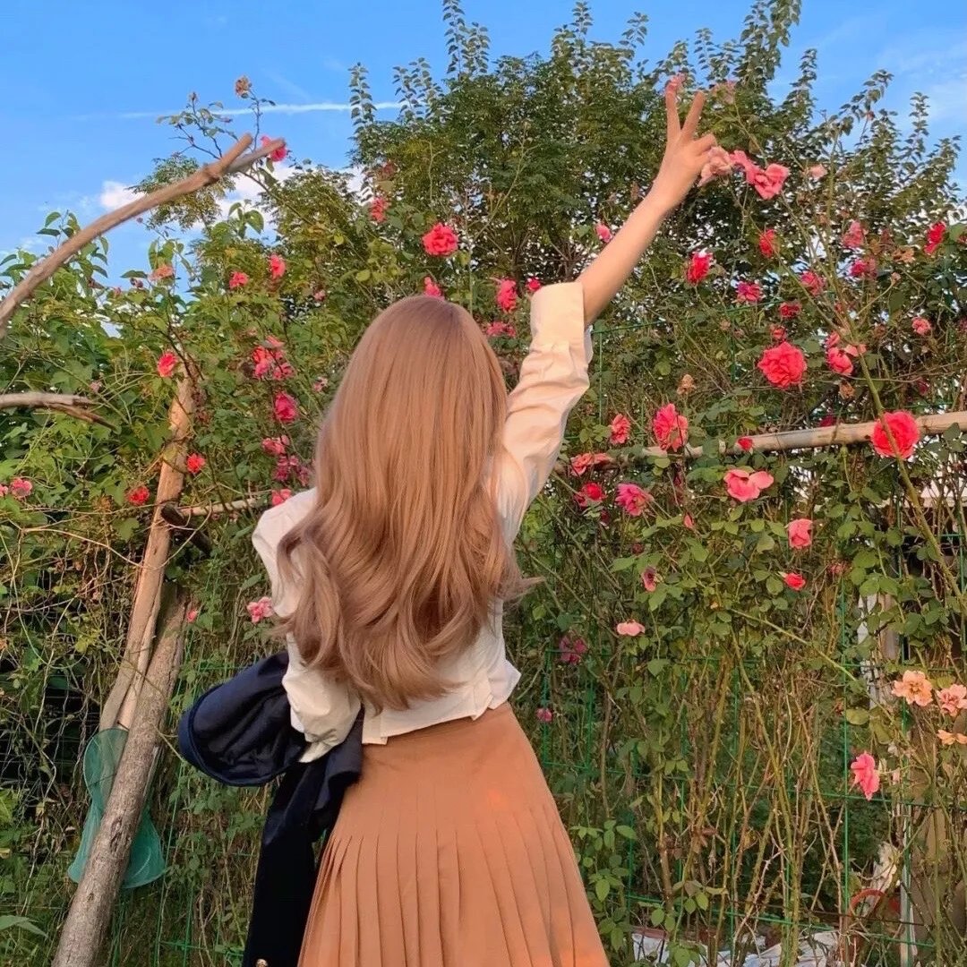 蜻蜓